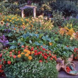 Full Circle Garden Solutions