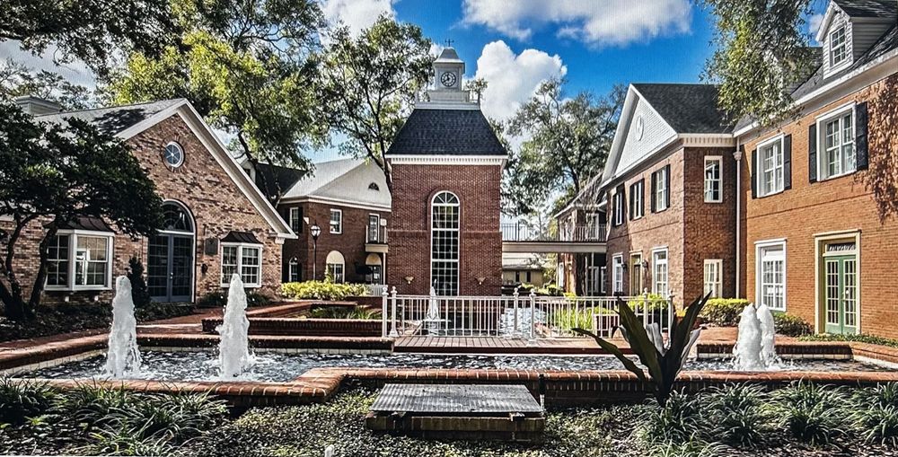 Rise Up Mental Health & Wellness Services - grief counselor in Longwood, FL