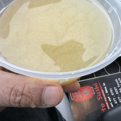 Kyoto Sushi - Vegan Miso Soup