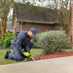 Our termite experts have extensive local experience and are trained monthly on the very best termite protection technologies.
