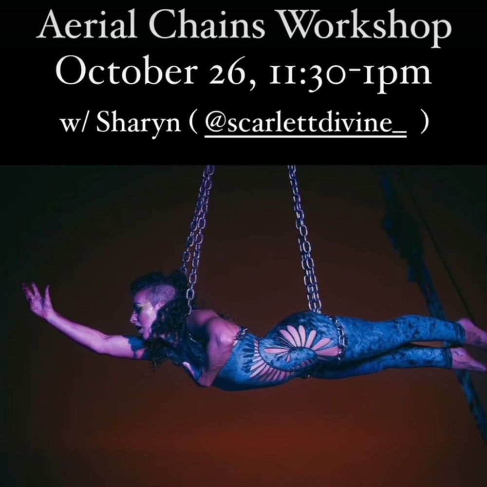 Dragonfly Studios La - Aerial Fitness Near Me - Los Angeles, California Dragonfly Studios La - Aerial Fitness Near Me - Los Angeles, California