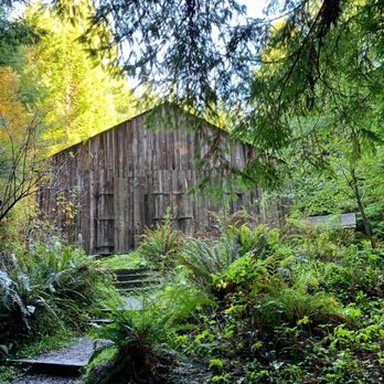 Headwaters Forest Reserve - Parks Near Me - Eureka, California Headwaters Forest Reserve - Parks Near Me - Eureka, California