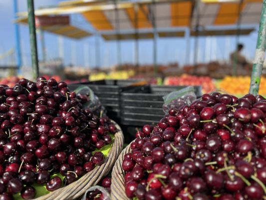 PIER 39 by null