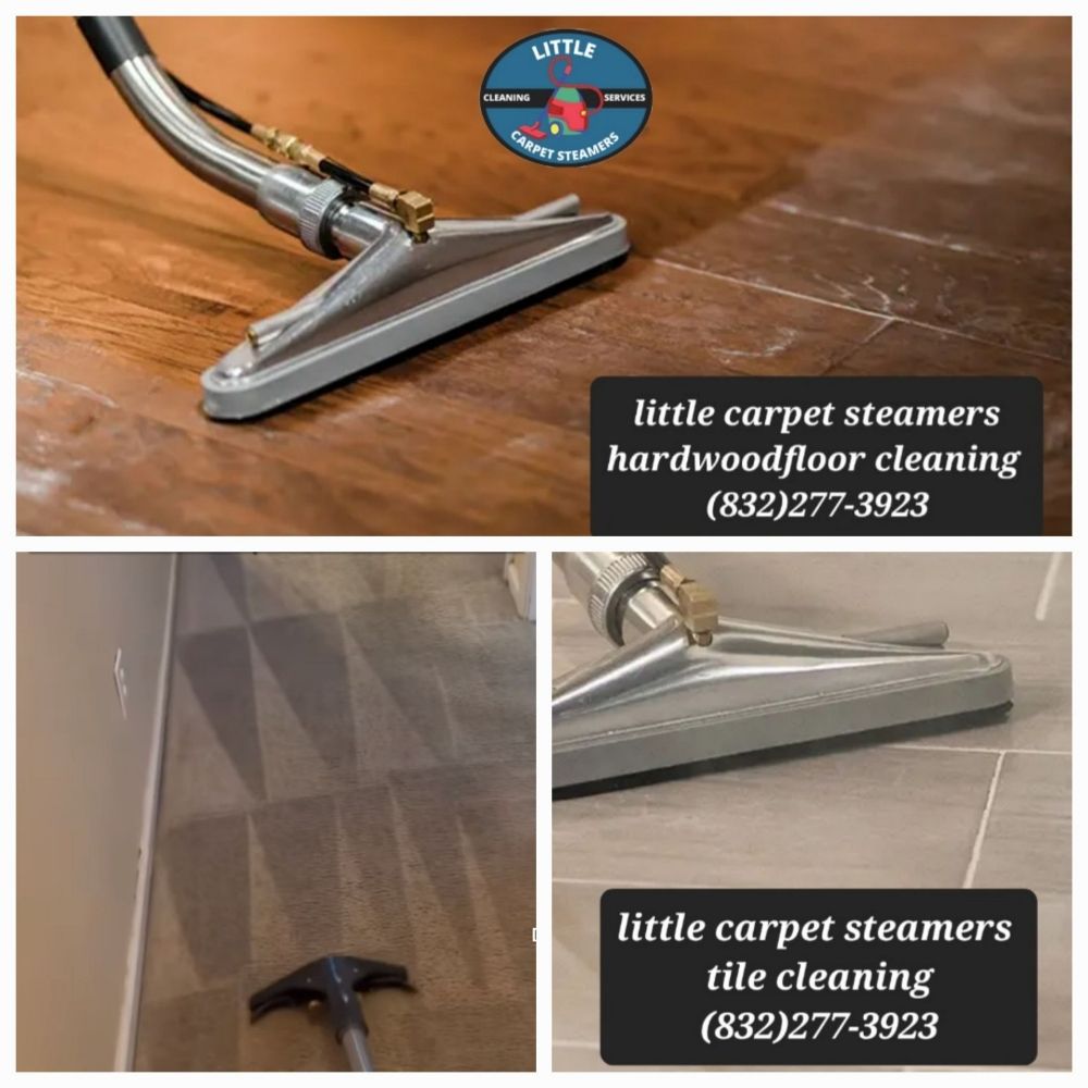 LITTLE CARPET STEAMERS 70 Photos Houston, TX Yelp