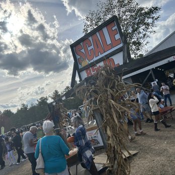Conklin Farm U-Pick - 85 cents a pound!  that makes an average size pumpkin $20-$25 ($5 at Trader Joe's) - Pumpkin Patches Near Me - Montville, New Jersey