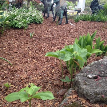 Oliver Nurseries - Displays galore - Nurseries & Gardening Near Me - Fairfield, Connecticut