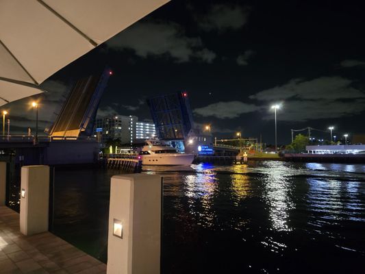 Blue Moon Fish Co. by null