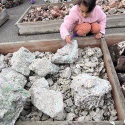 Chapman's Gem & Mineral Shop & Museum