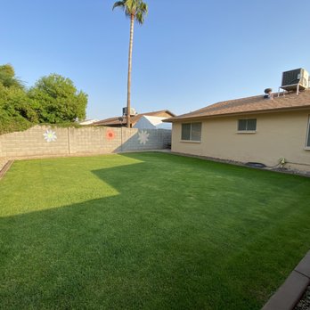 Gibbs Lawn Care - a small backyard with grass - Lawn Services Near Me Gibbs Lawn Care - a small backyard with grass - Lawn Services Near Me
