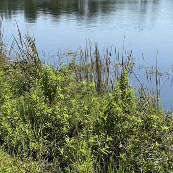 Azalea Park - Parks Near Me - Clermont, Florida Azalea Park - Parks Near Me - Clermont, Florida