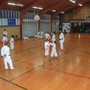 Photo of American Karate Kai