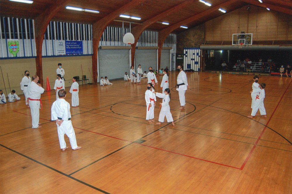 American Karate Kai Logo