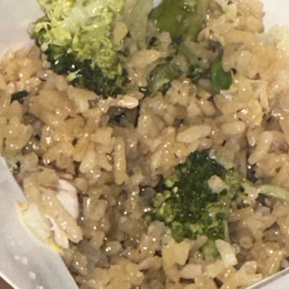 Panda Garden Chinese Restaurant - 40. Vegetable Fried Rice - Chinese Near Me - Bayside, New York