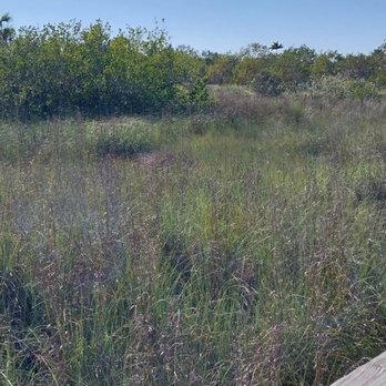 Big Cypress Bend Boardwalk - Parks Near Me - Naples, Florida