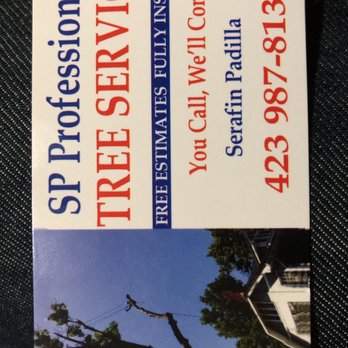 S P Professional Tree Services - Tree Services Near Me S P Professional Tree Services - Tree Services Near Me