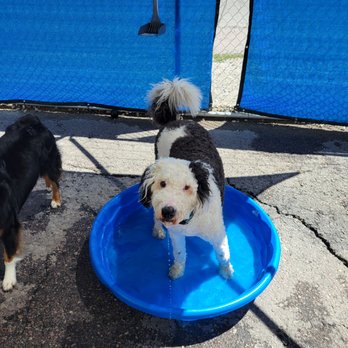 Unleashed - Pet Training Near Me - Missoula, Montana Unleashed - Pet Training Near Me - Missoula, Montana