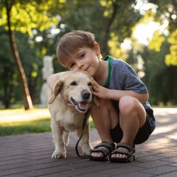 Pawsitive Pup Dog Training