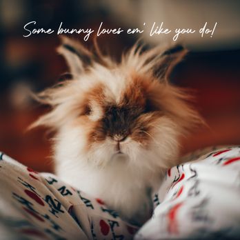 Fetch! Pet Care - Toledo - Pet Sitting Near Me Fetch! Pet Care - Toledo - Pet Sitting Near Me