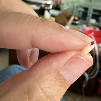Major Dumplings - Piece of bone I found in my dumpling. Cut my mouth. - Asian Fusion Near Me - Diamond Bar, California Major Dumplings - Piece of bone I found in my dumpling. Cut my mouth. - Asian Fusion Near Me - Diamond Bar, California