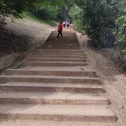 Stairs heading up the trail. Make sure to watch your footing. Stairs heading up the trail. Make sure to watch your footing.