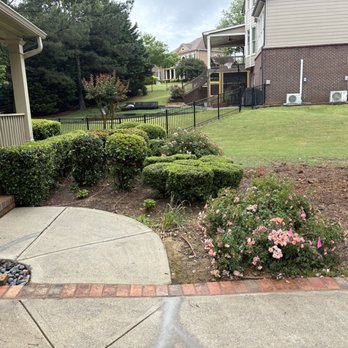 Kilpatrick's Tree Farm & Nursery - This is the before picture - Nurseries & Gardening Near Me - Buford, Georgia