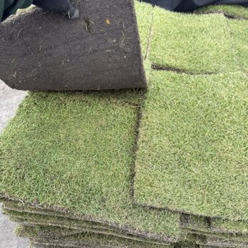 Rojas Sod Services - Nurseries & Gardening Near Me - Loxahatchee, Florida Rojas Sod Services - Nurseries & Gardening Near Me - Loxahatchee, Florida