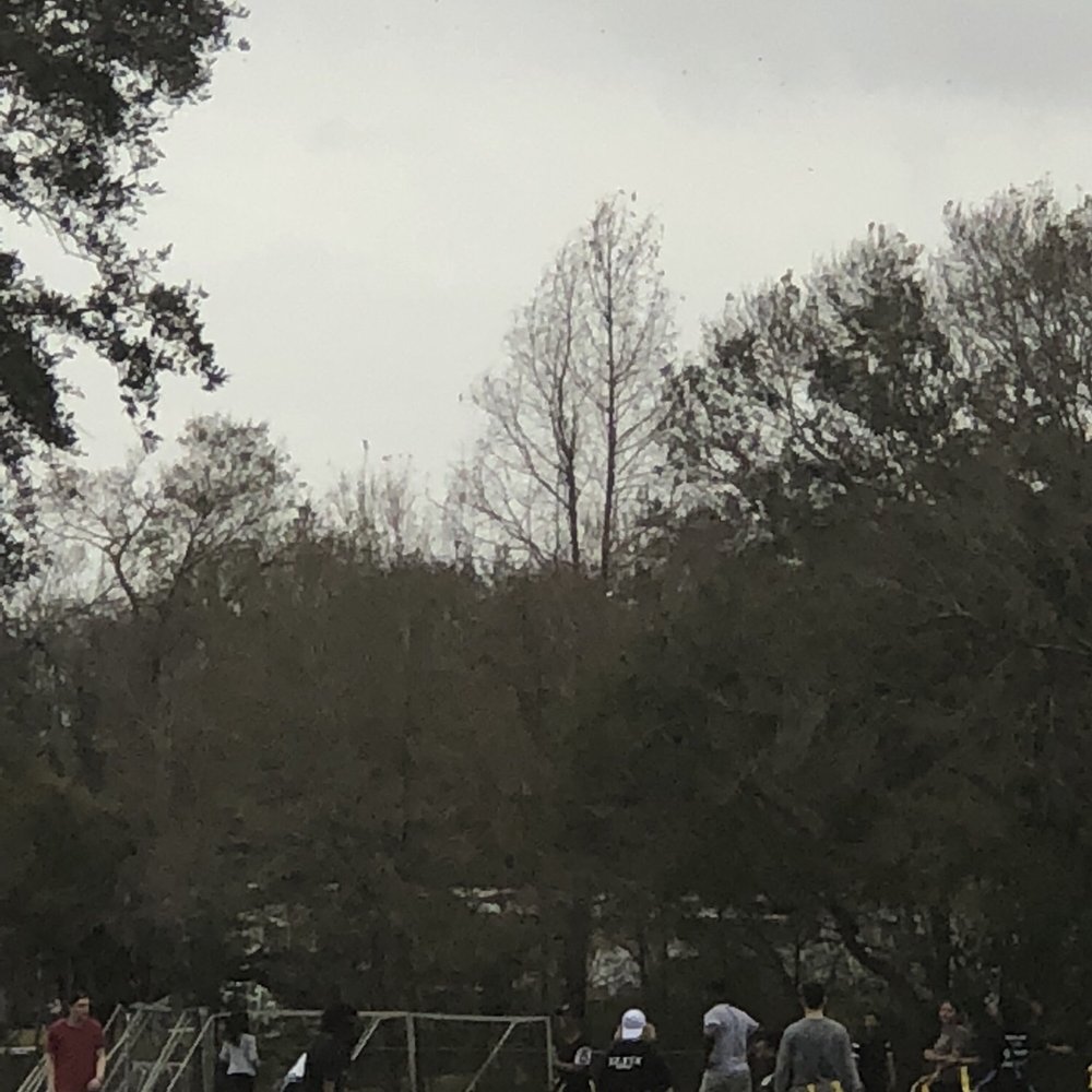 Blanchard Park - Parks Near Me - Orlando, Florida