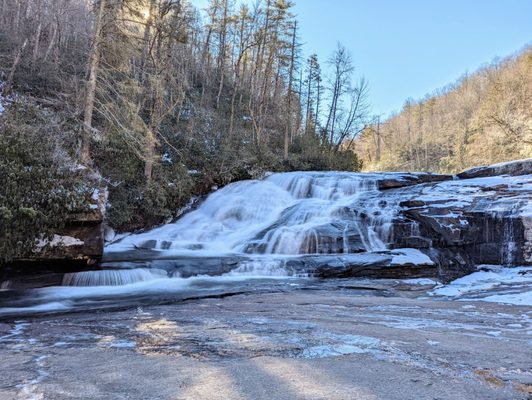 DuPont State Recreational Forest by null