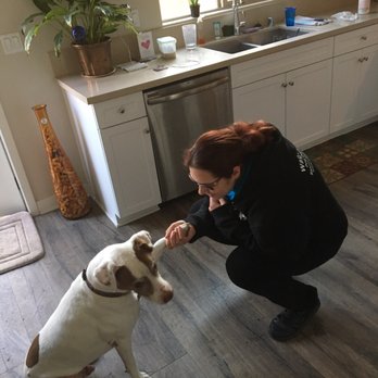 Nala's World - Please to meet you, please give me a cookie - Dog Walkers Near Me Nala's World - Please to meet you, please give me a cookie - Dog Walkers Near Me