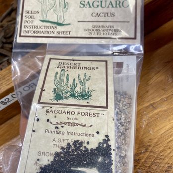 Virgin Town - 09.05.21 giant saguaro seeds (for my co-worker) - Landmarks & Historical Buildings Near Me - Virgin, Utah