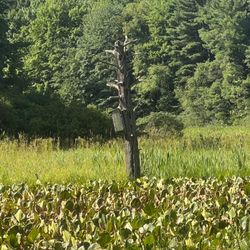 Audubon Community Nature Center