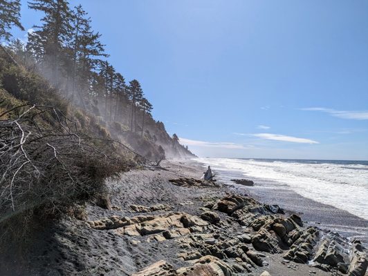 Kalaloch Campground by null