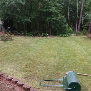 T Ray Services - Another view of new sod - Pressure Washers Near Me T Ray Services - Another view of new sod - Pressure Washers Near Me