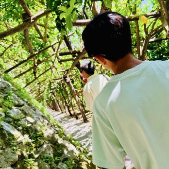 Amalfi Lemon Experience - Food Tours Near Me - Amalfi, SA