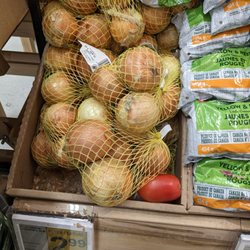 Jason's Nofrills - Onions