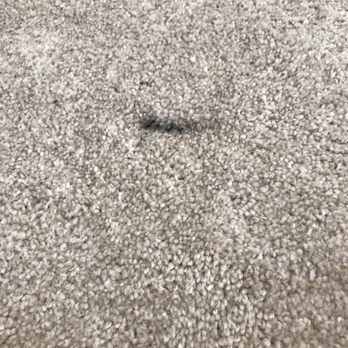 Living Spaces - Stained carpet - Furniture Stores Near Me - Grand Prairie, Texas Living Spaces - Stained carpet - Furniture Stores Near Me - Grand Prairie, Texas