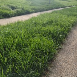 CLT Landscape