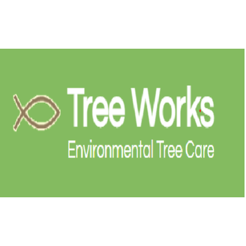 Tree Works Environmental Tree Care - Tree Services Near Me - Land O Lakes, Florida Tree Works Environmental Tree Care - Tree Services Near Me - Land O Lakes, Florida