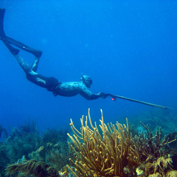 Anderson's Scuba Diving - Scuba Diving Near Me - Pacifica, California Anderson's Scuba Diving - Scuba Diving Near Me - Pacifica, California