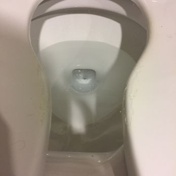 Audi Bellevue - So you want us to buy a $40,000 car and your management won't spent $50 to fix a toilet seat... - Car Dealers Near Me - Bellevue, Washington