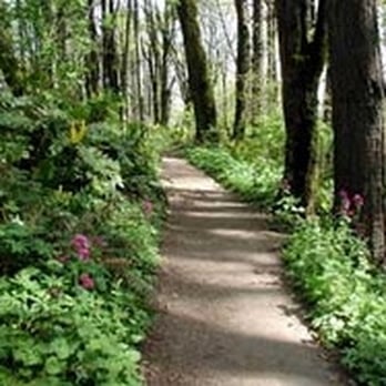 Forest Park - Parks Near Me - Portland, Oregon