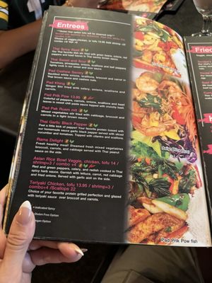 Menu photo 8 Sandee's Thai Fusion Janesville, WI