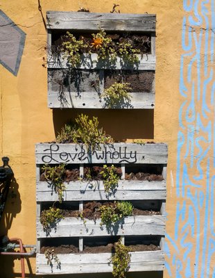 Choice Juicery by null