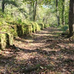 Savannah Ogeechee Canal Museum & Nature Center - Remains of the canal walls to the left