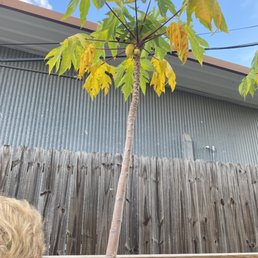 Outside Outside