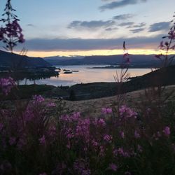 Gamble Sands Resort