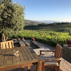 Quinta Barroca - Vineyard