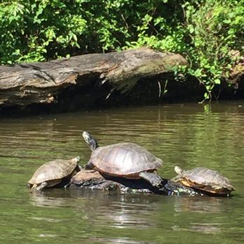 Lums Pond State Park - Boating Near Me - Bear, Delaware