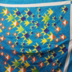 Gooseberry Garden Quilt Shop - Chrissy does things her way - and what a way that is! Big, bold, and stunning!