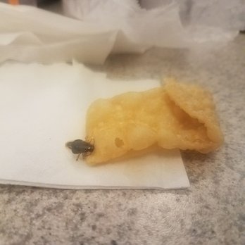 Panda North - Bug found fried onto crispy noodle. Gross! - Chinese Near Me - Brattleboro, Vermont Panda North - Bug found fried onto crispy noodle. Gross! - Chinese Near Me - Brattleboro, Vermont
